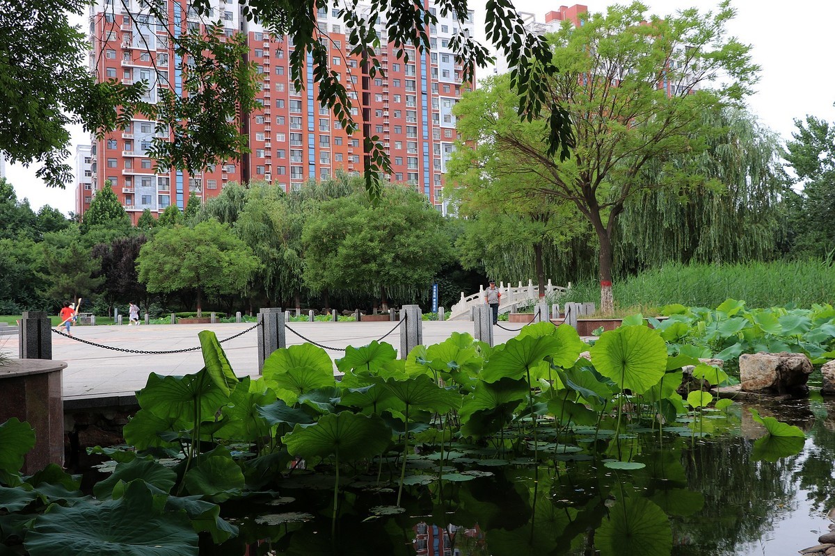 一组清晨公园杂拍