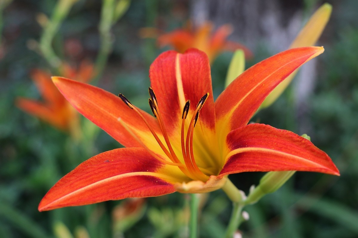 一组清晨公园杂拍