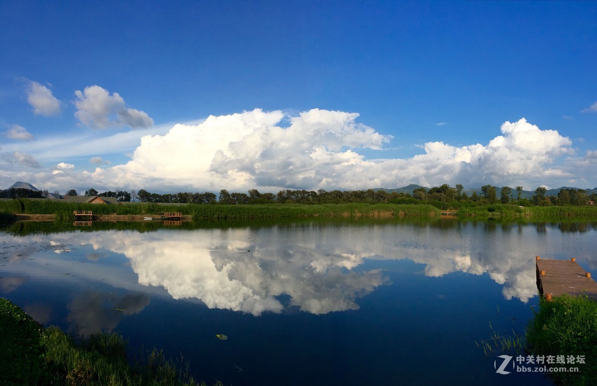 中新嘉丽泽湿地