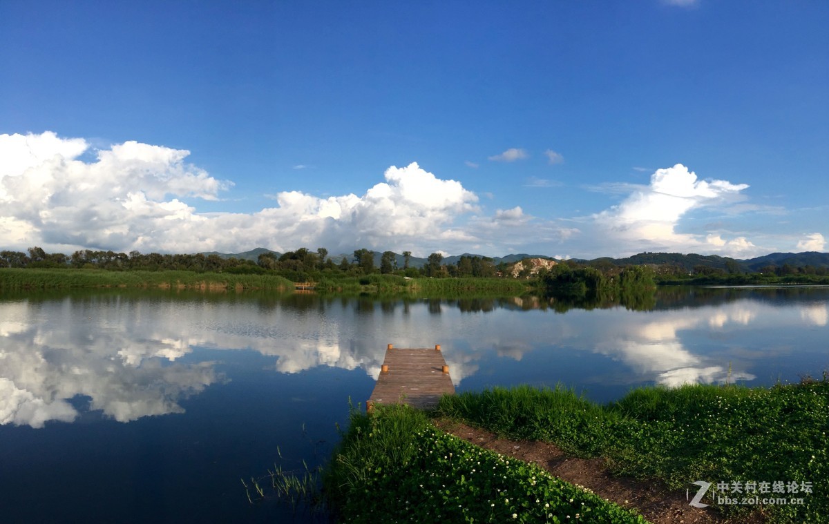 中新嘉丽泽湿地