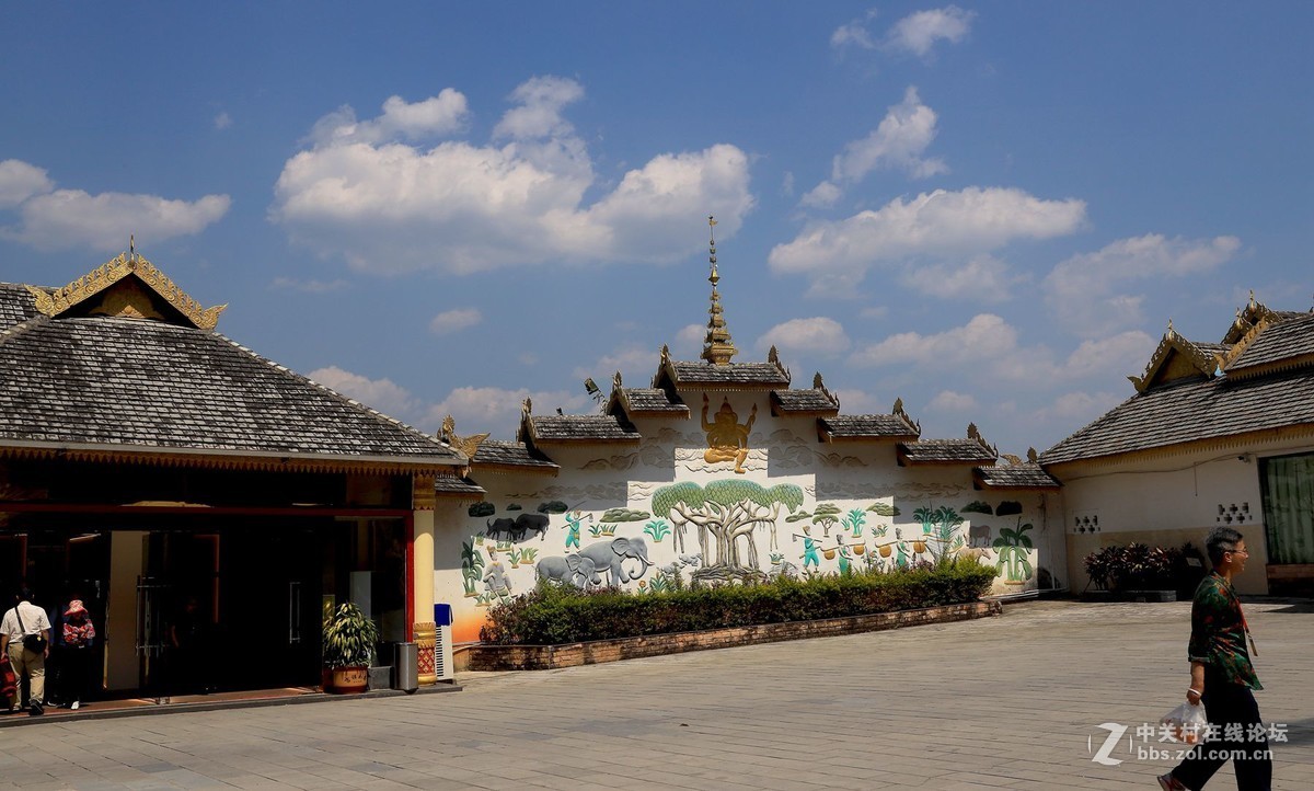 云南西双版纳之旅——〈11〉独树成林景区