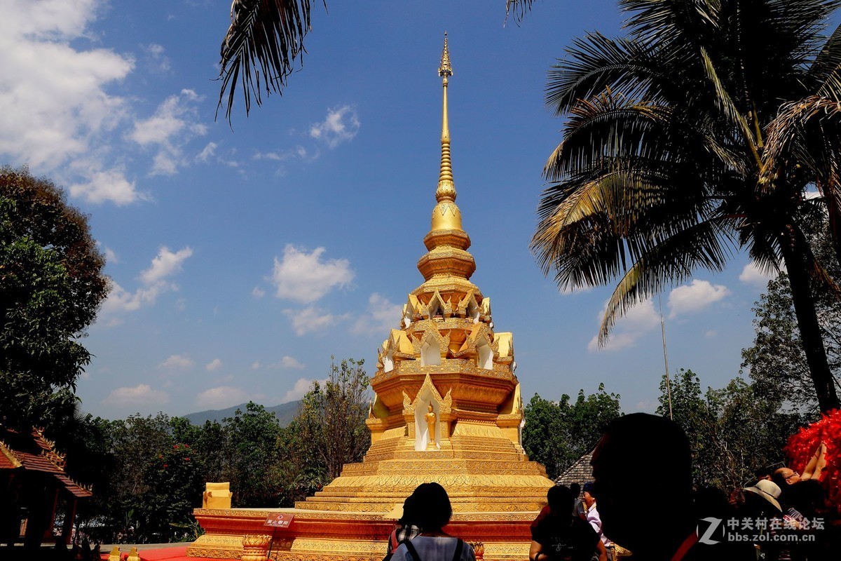 云南西双版纳之旅——〈11〉独树成林景区