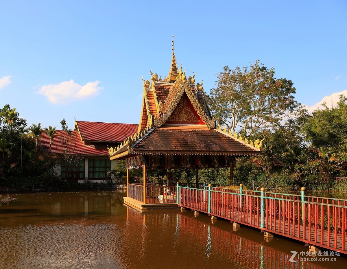 云南西双版纳之旅——〈11〉独树成林景区