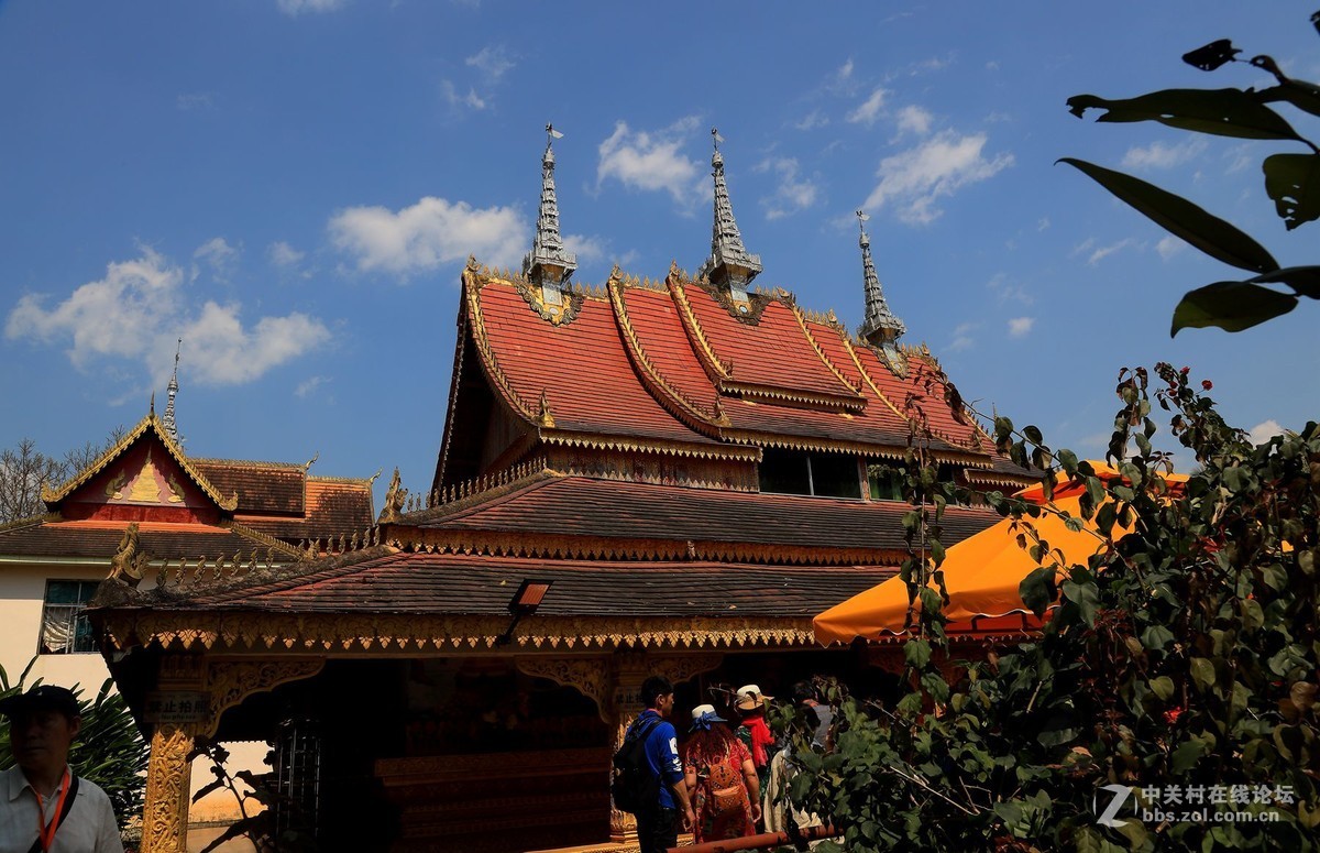 云南西双版纳之旅——〈11〉独树成林景区