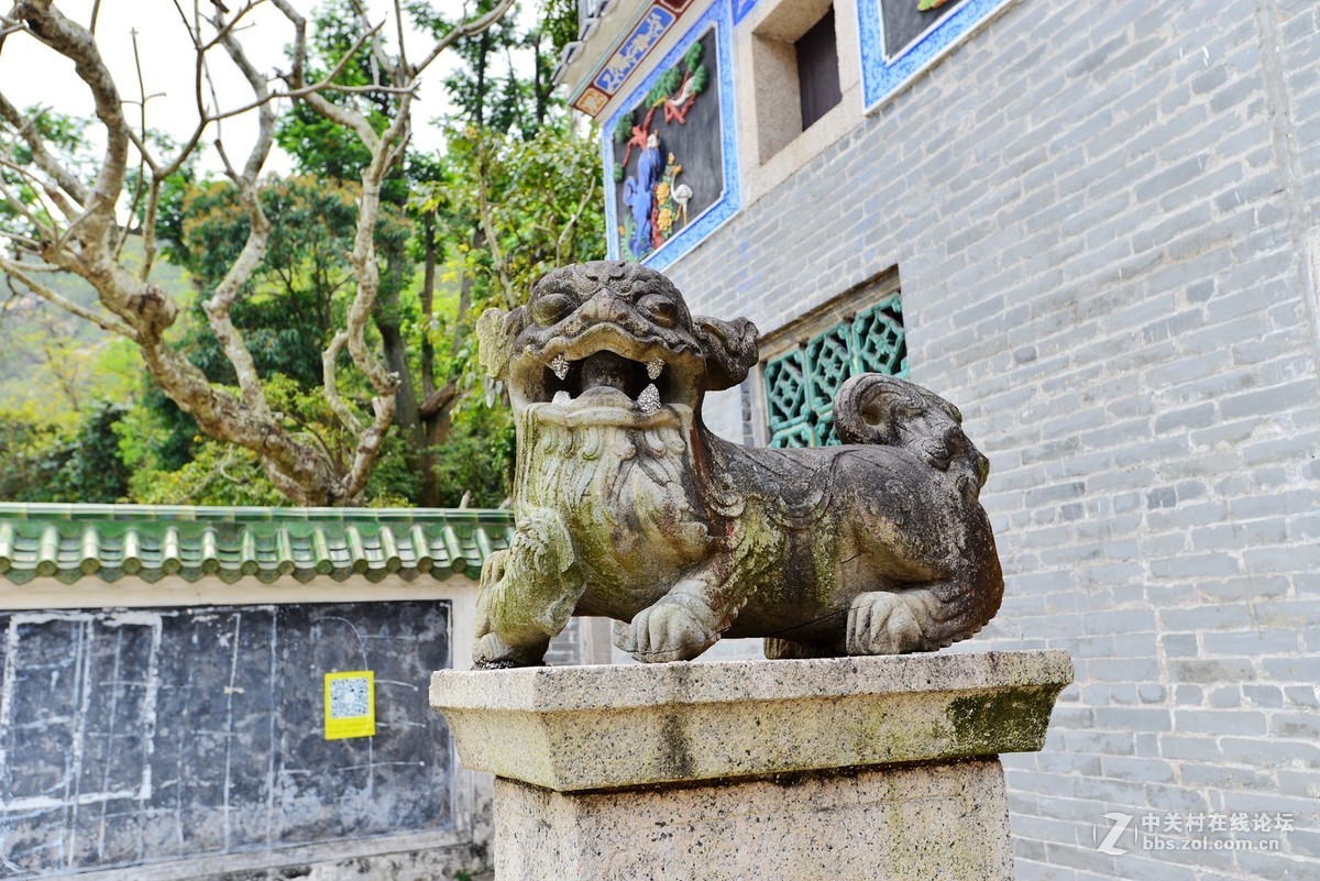 三月上将军山大圣寺吸收灵气