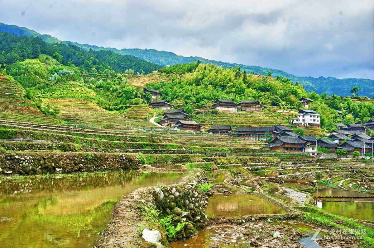 幸福伟江中洞村之春