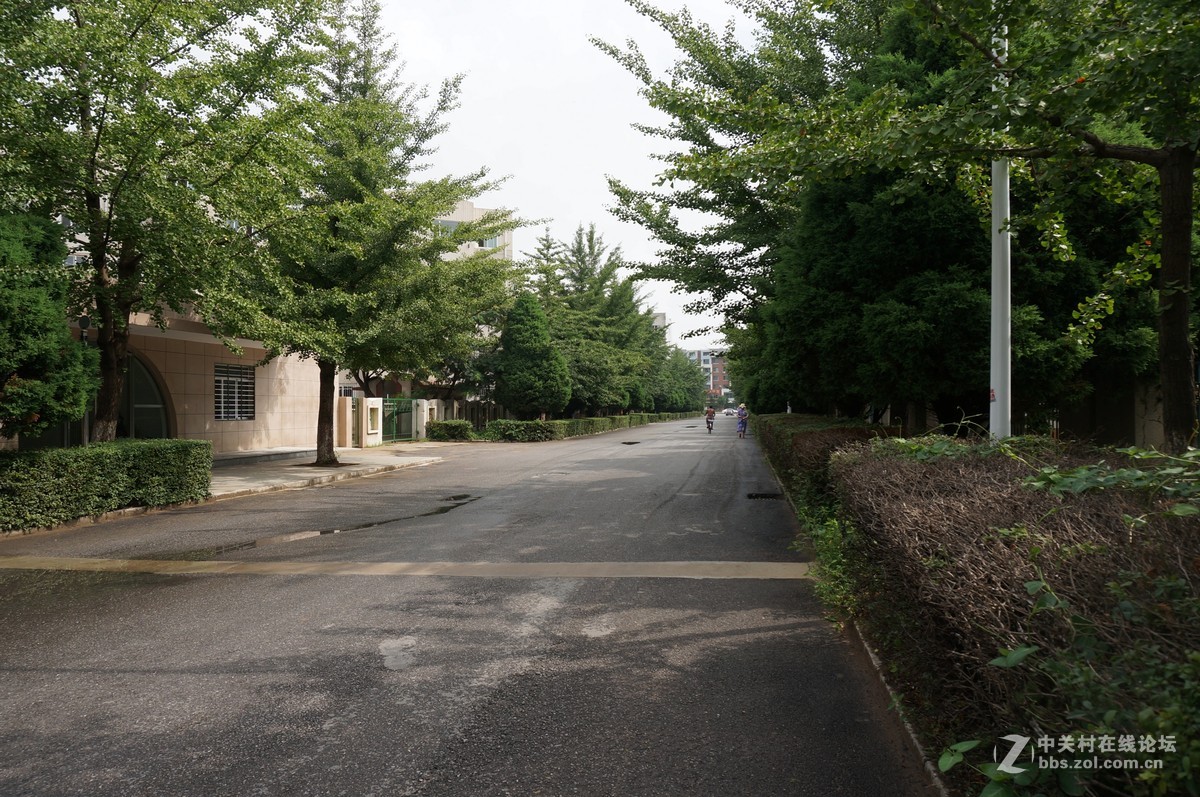 小区里随拍