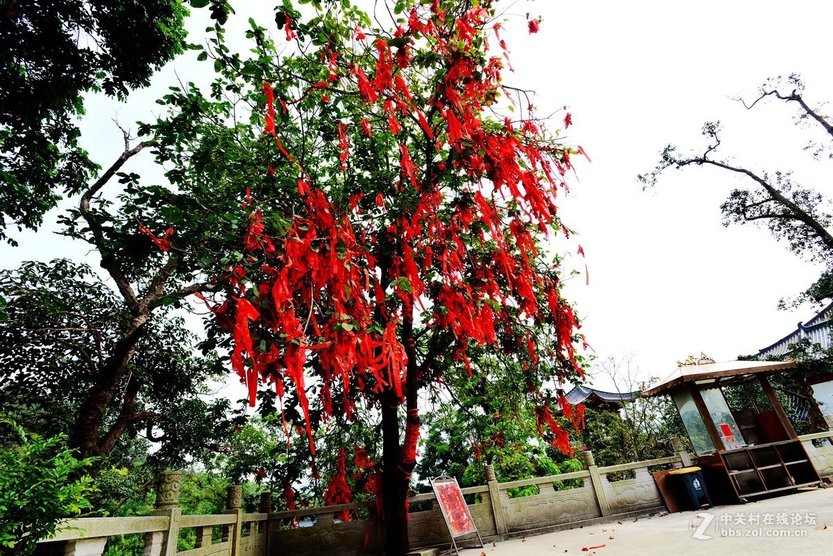 三月上将军山大圣寺吸收灵气