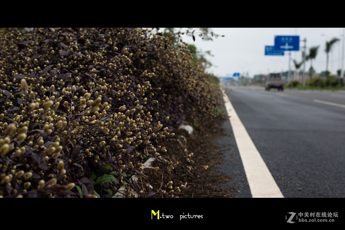 尼康夜之眼 58mm F1.4G 杂锦