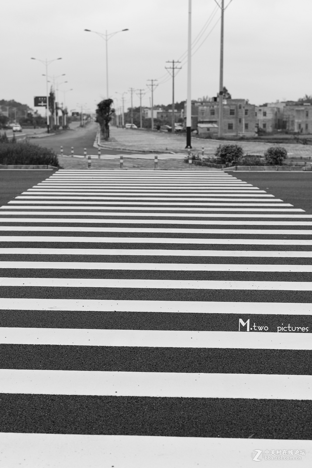 尼康夜之眼 58mm F1.4G 杂锦