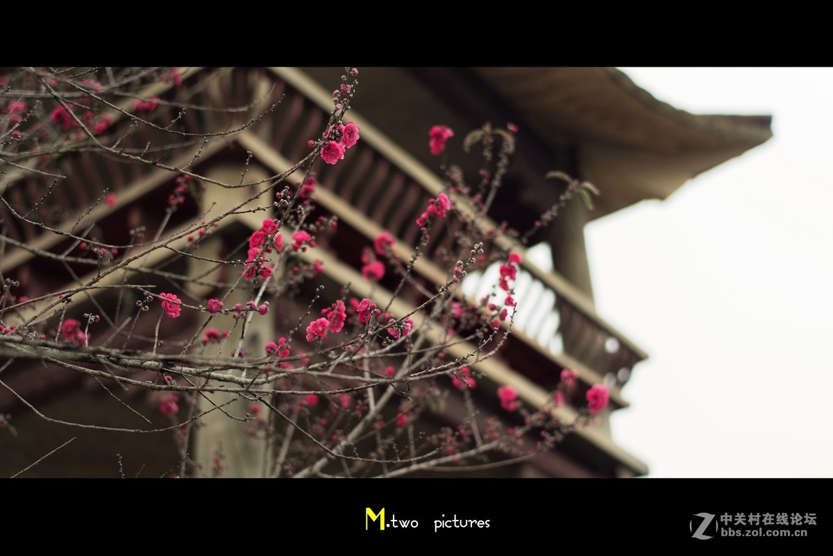 尼康夜之眼 58mm F1.4G 杂锦