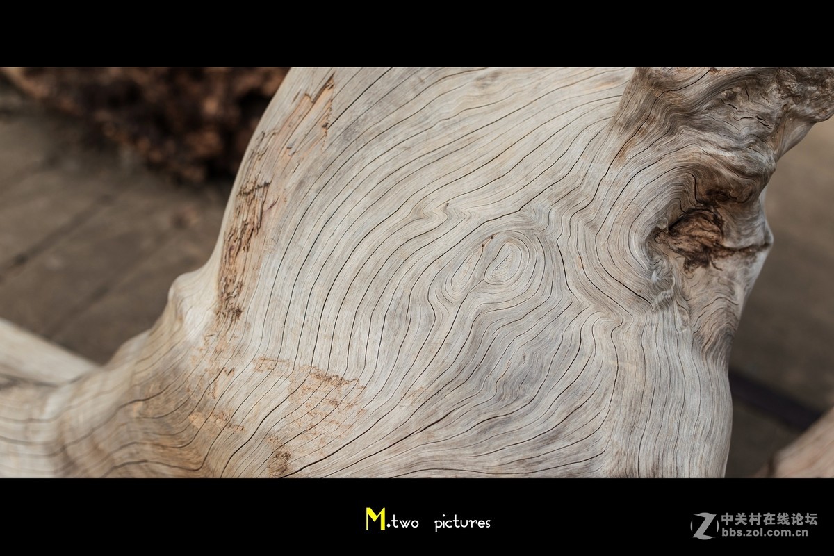 尼康夜之眼 58mm F1.4G 杂锦