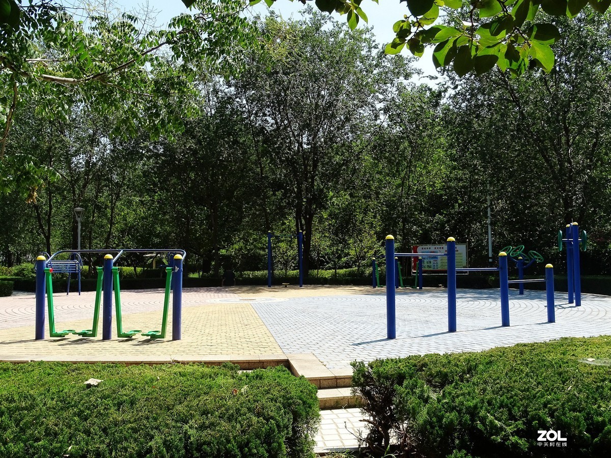 小公园随拍-1
