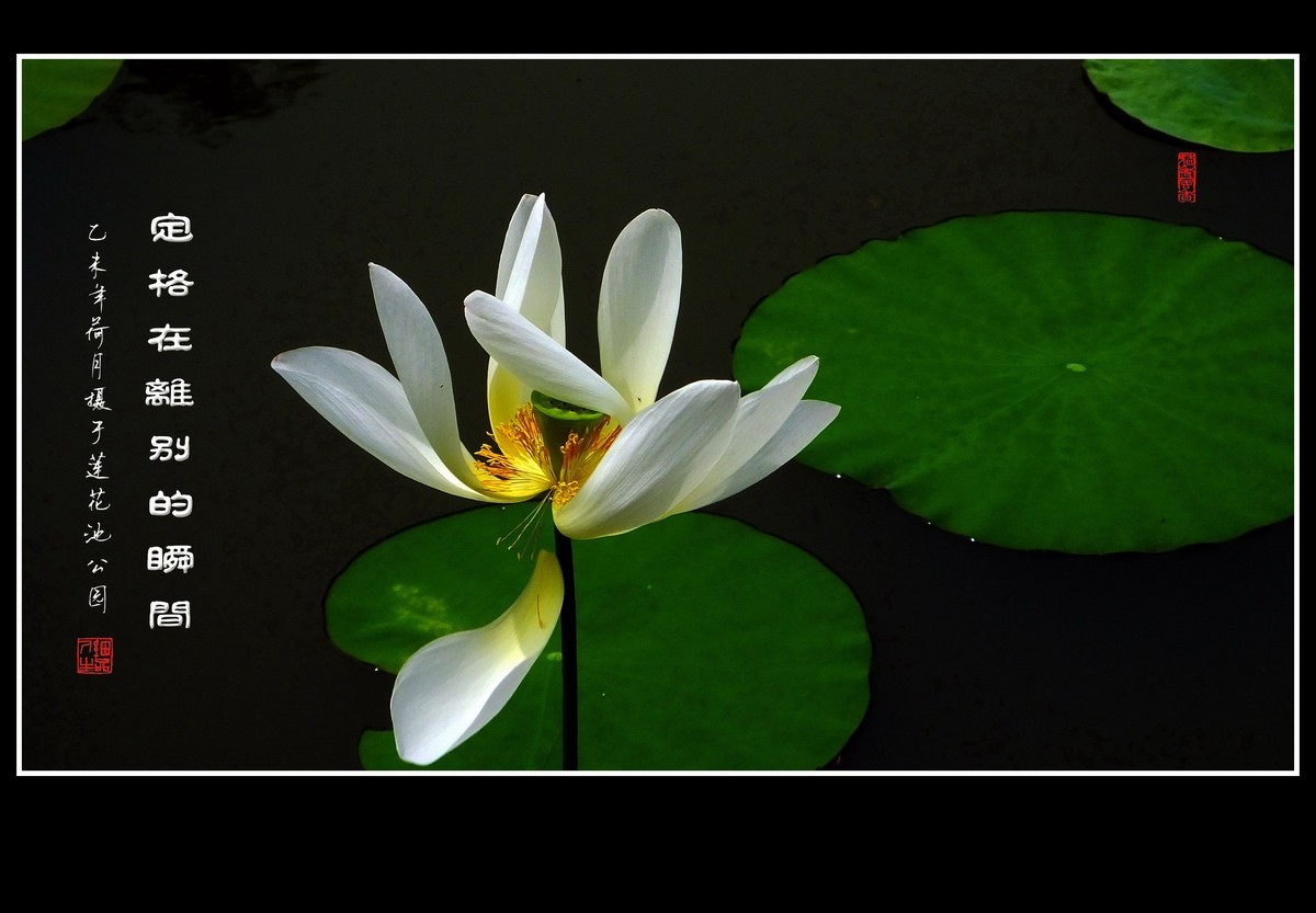 #版主坐堂#【南京星空(中国)】2015年07月部分优秀作品欣赏