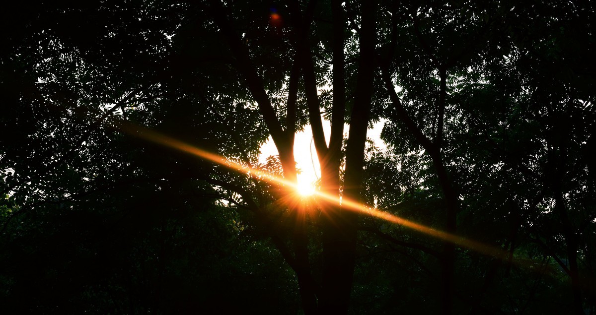 缝隙中看落日