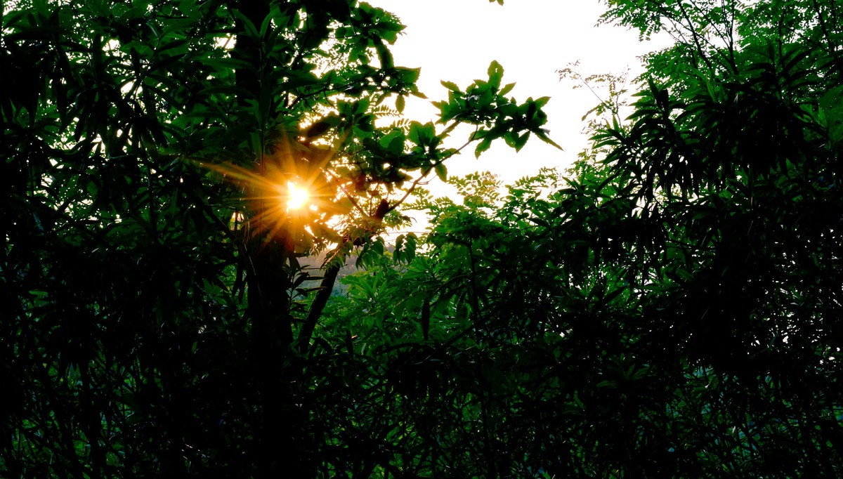 缝隙中看落日