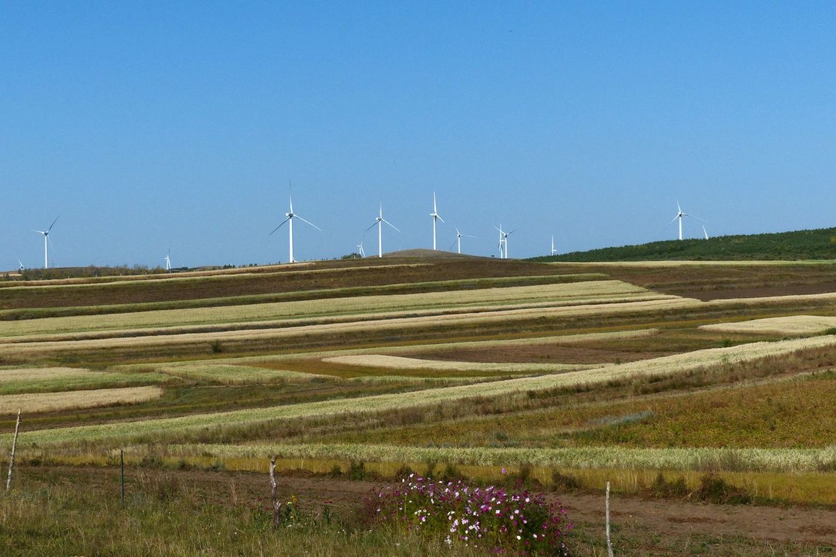 风之丘 · 骆肥马壮