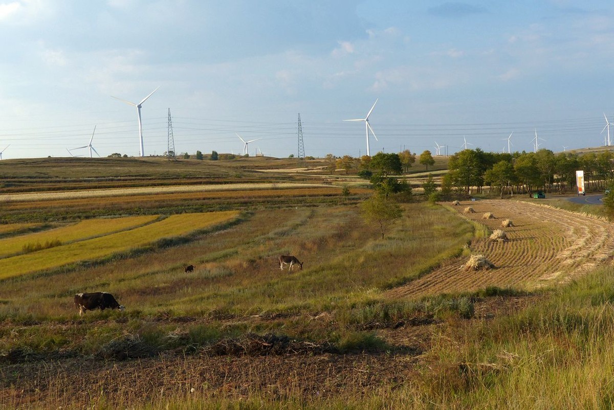 风之丘 · 骆肥马壮