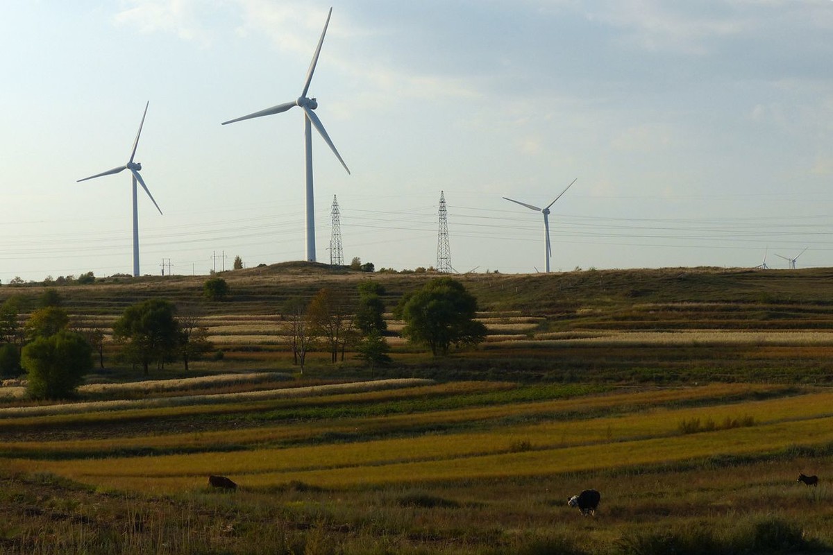 风之丘 · 骆肥马壮