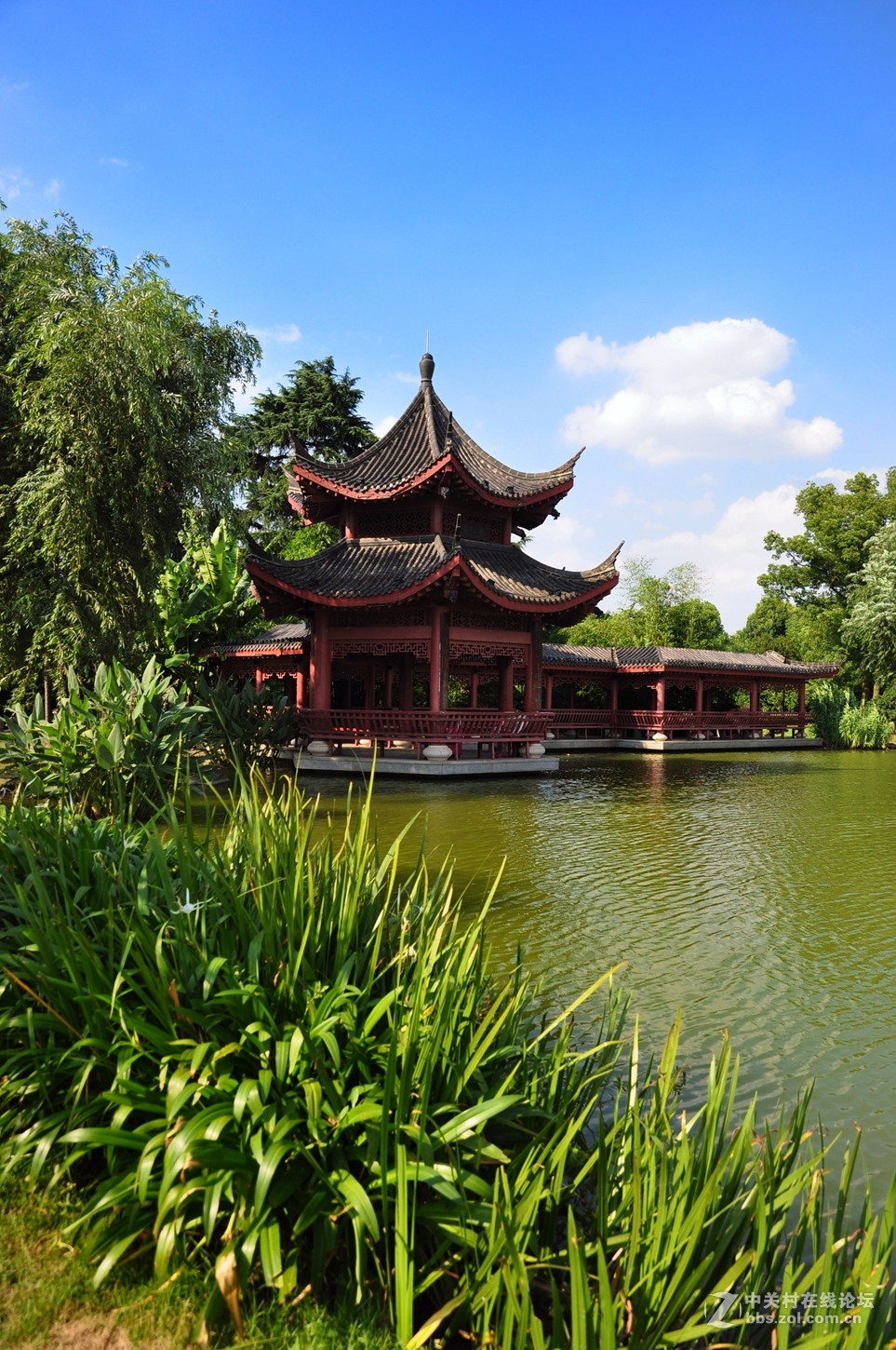 长沙橘子洲盛夏美景1