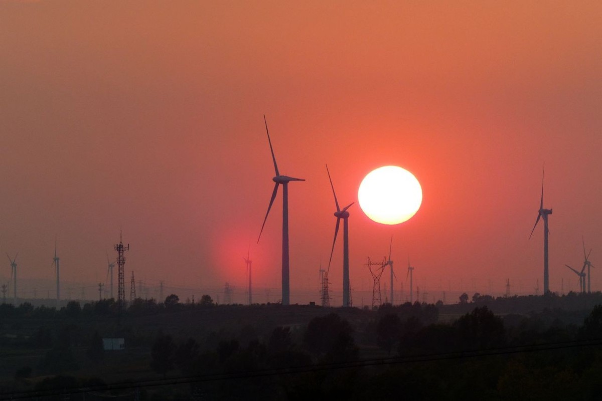 风之丘 · 骆肥马壮