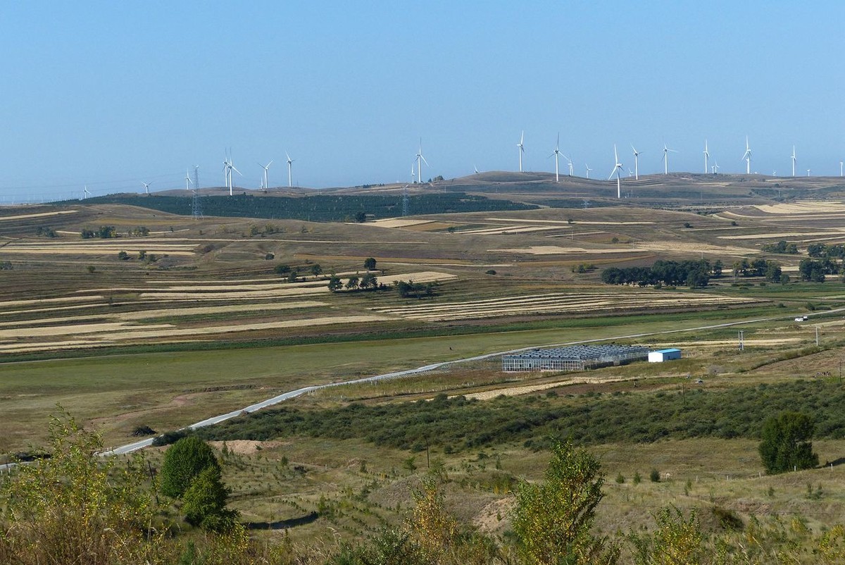 风之丘 · 骆肥马壮