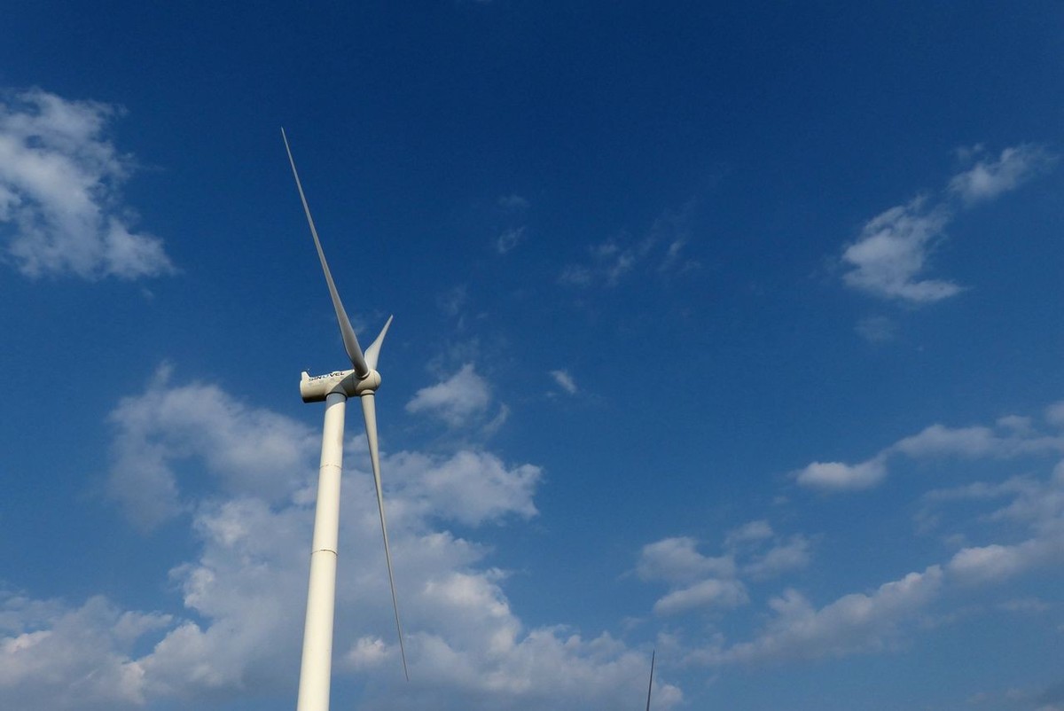 风之丘 · 骆肥马壮