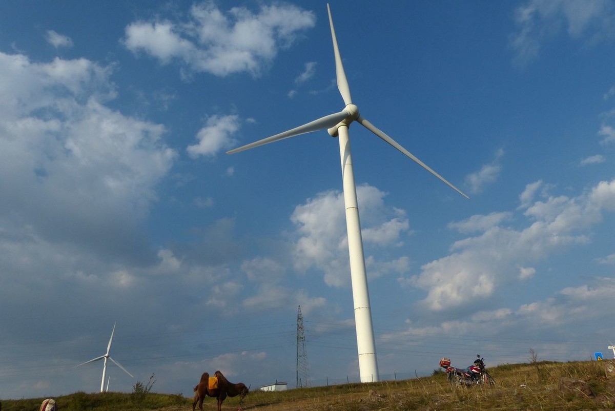 风之丘 · 骆肥马壮