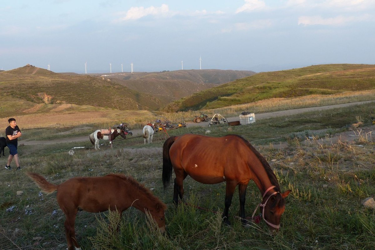 风之丘 · 骆肥马壮