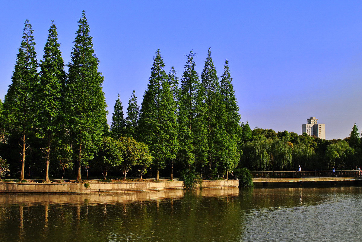 上海黃興公園景色22