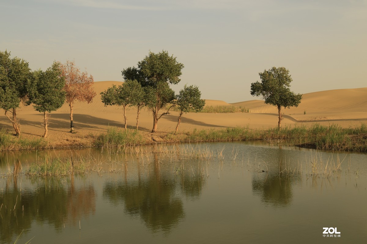 大美新疆之旅———罗布人村寨