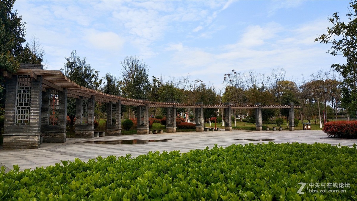 歙州广场之春花烂漫