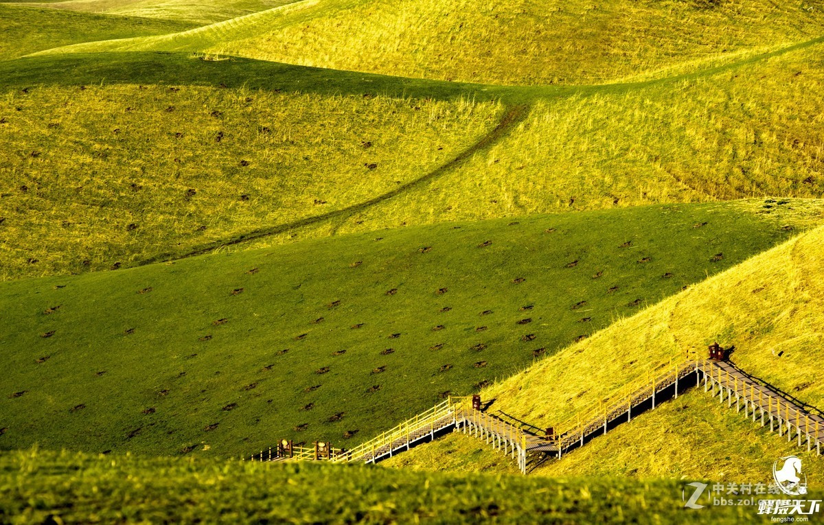 蜂摄天下——新疆天山天池