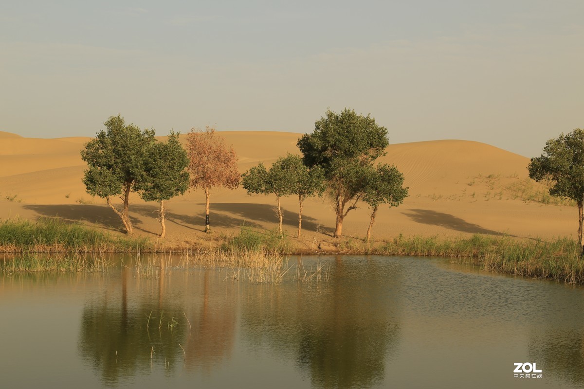 大美新疆之旅———罗布人村寨
