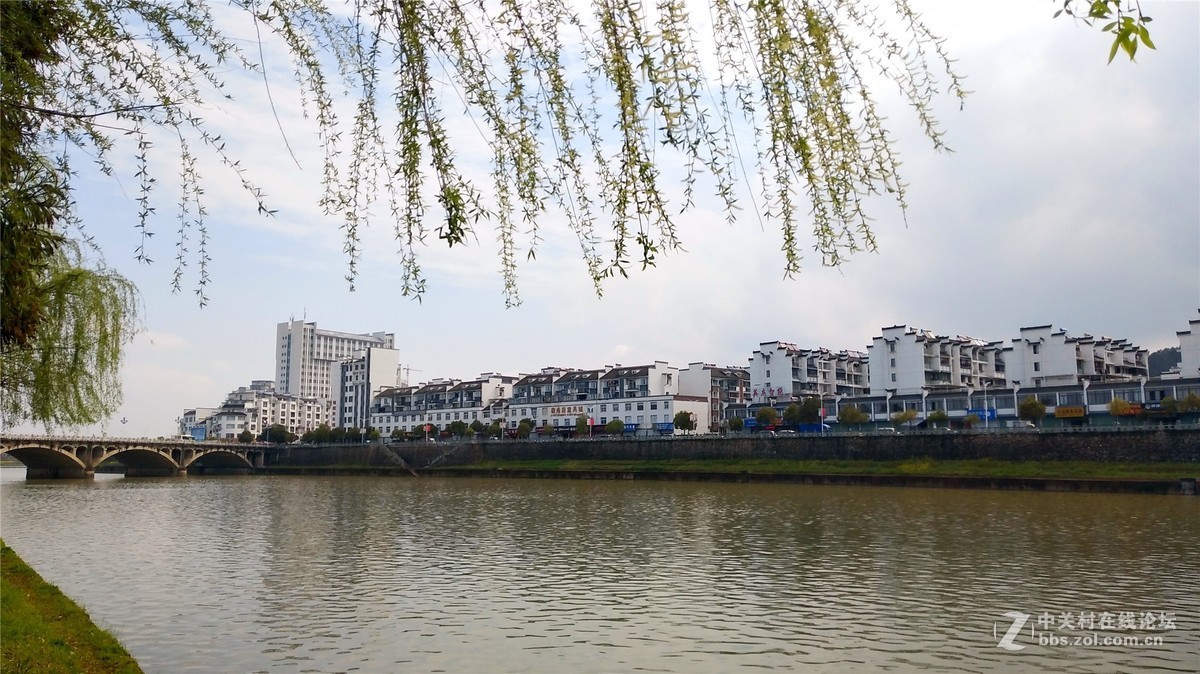 歙州广场之春花烂漫