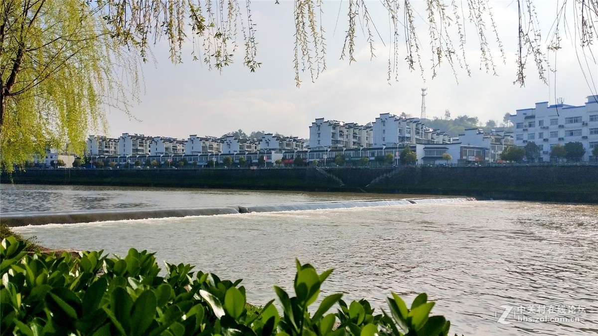 歙州广场之春花烂漫