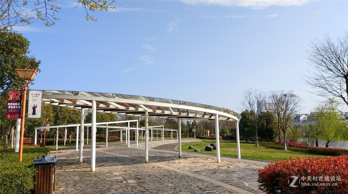 歙州广场之春花烂漫