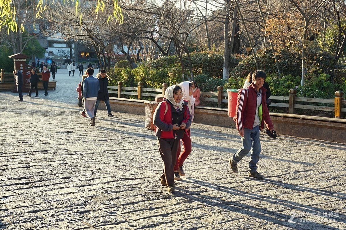 丽江古城 （上）