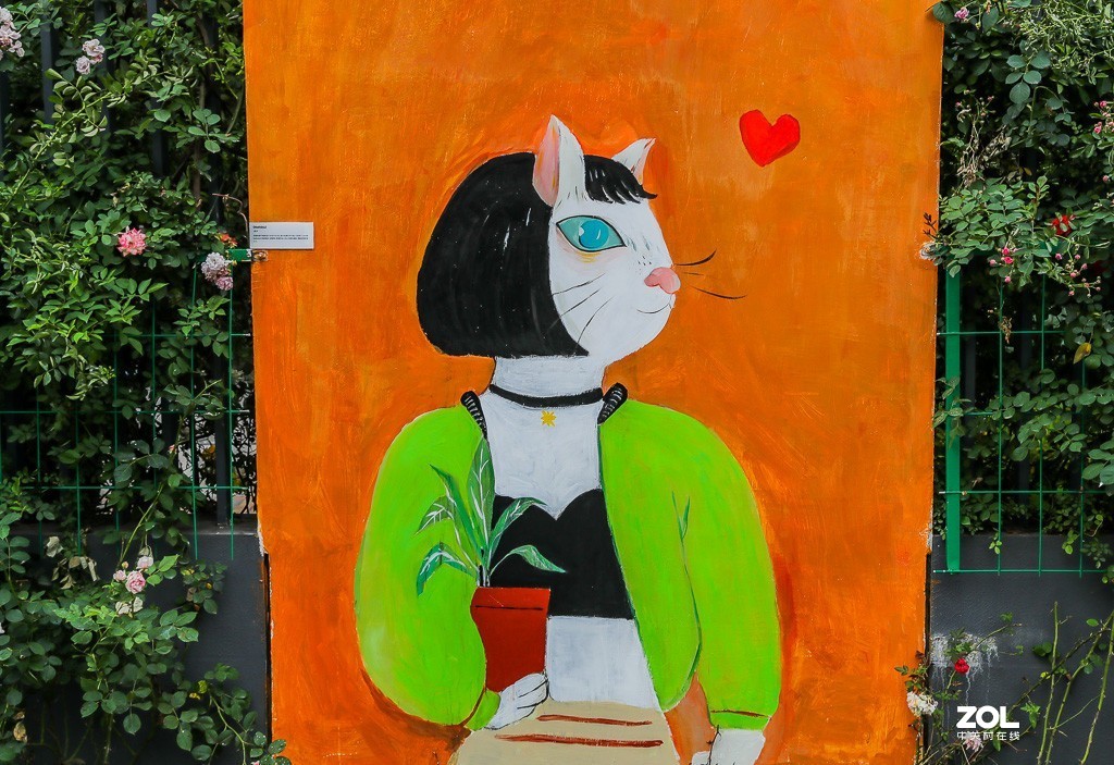 河西网红喵喵街