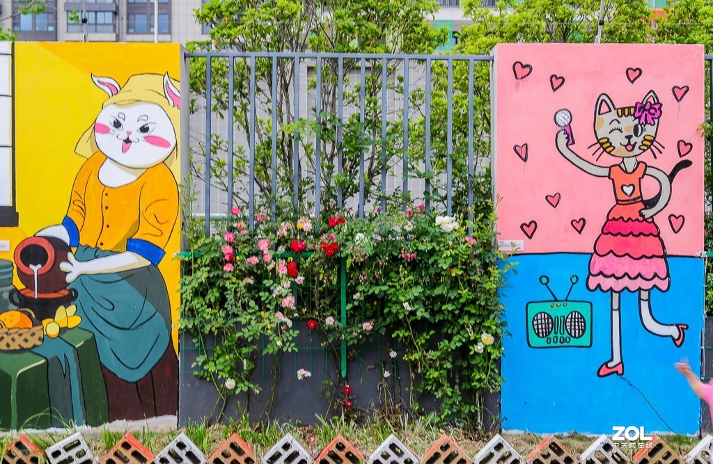 河西网红喵喵街