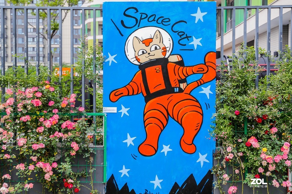 河西网红喵喵街