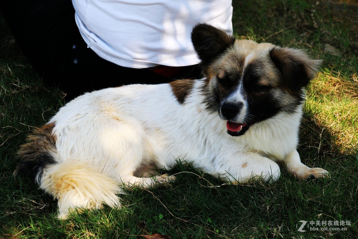 70d买了3个月了，最近拍的几张....各种各样