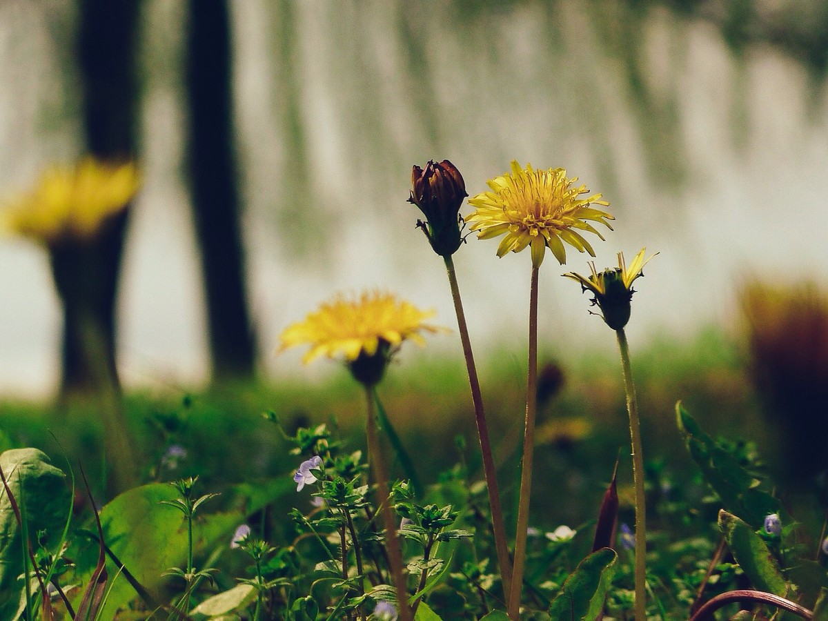 二月二携ZS7踏青几张