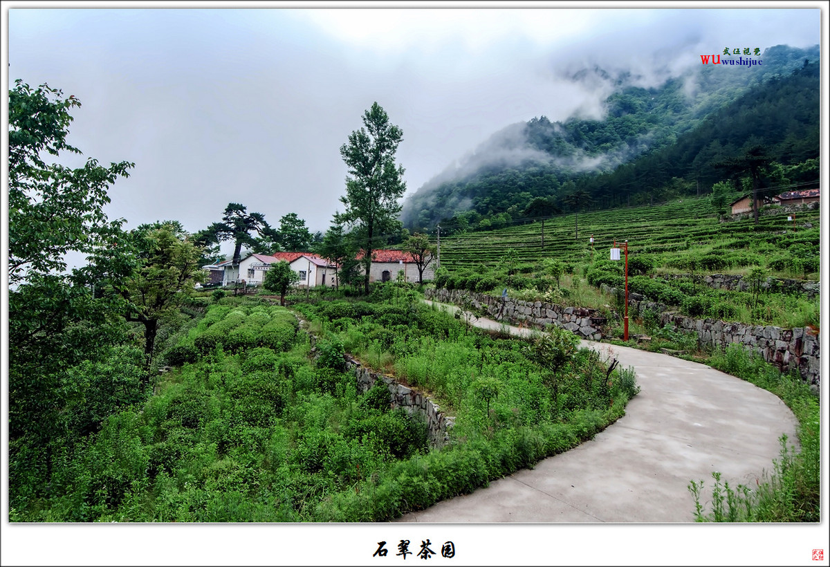 石翠茶园