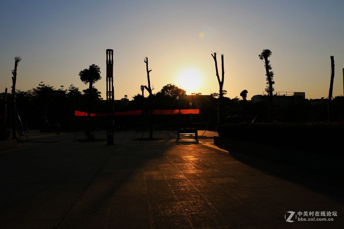 70d买了3个月了，最近拍的几张....各种各样