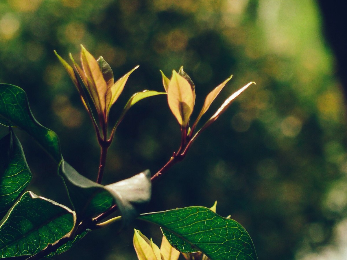 二月二携ZS7踏青几张