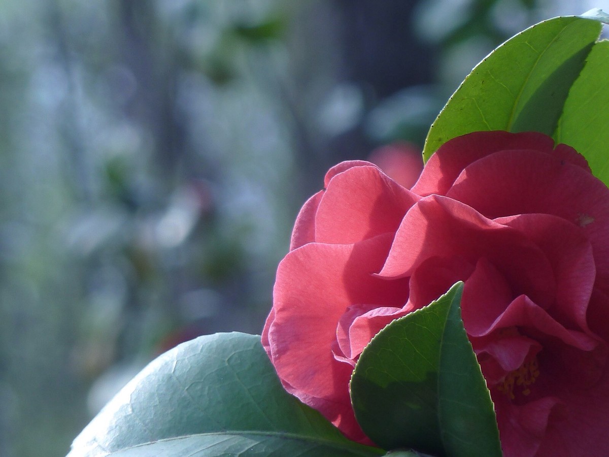 二月二携ZS7踏青几张