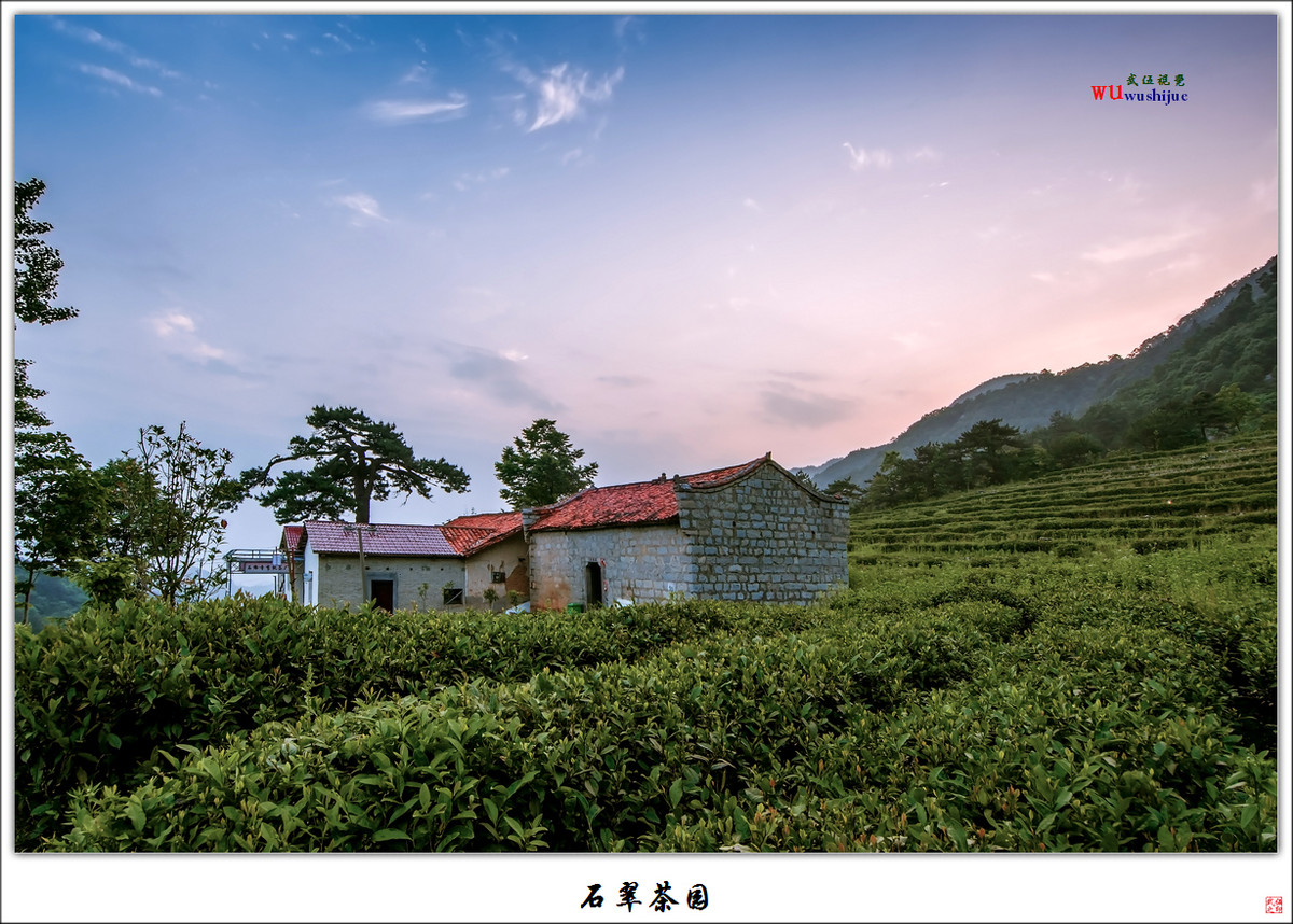 石翠茶园