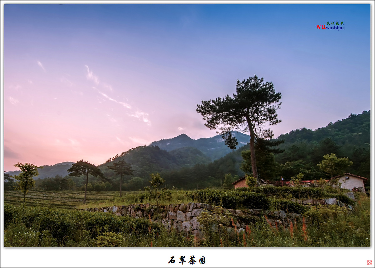 石翠茶园