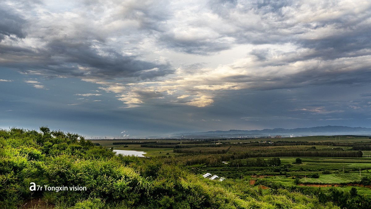 清清湖水边（8）